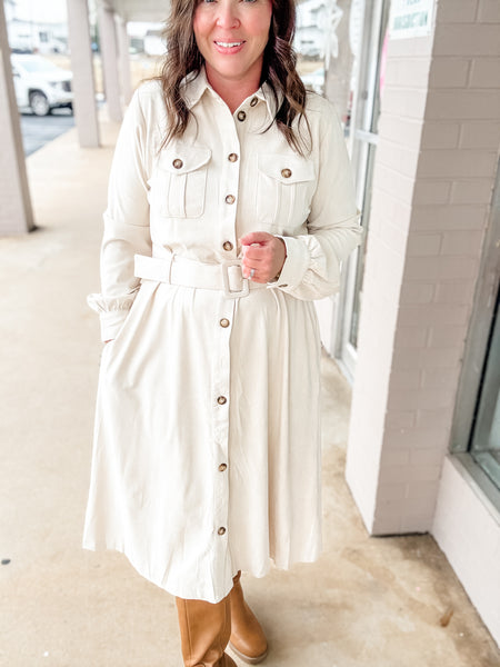 Ecru Meadow Suede Shirt Dress