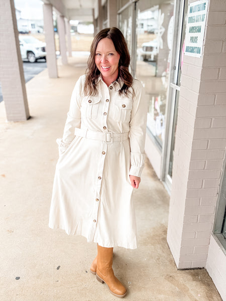 Ecru Meadow Suede Shirt Dress