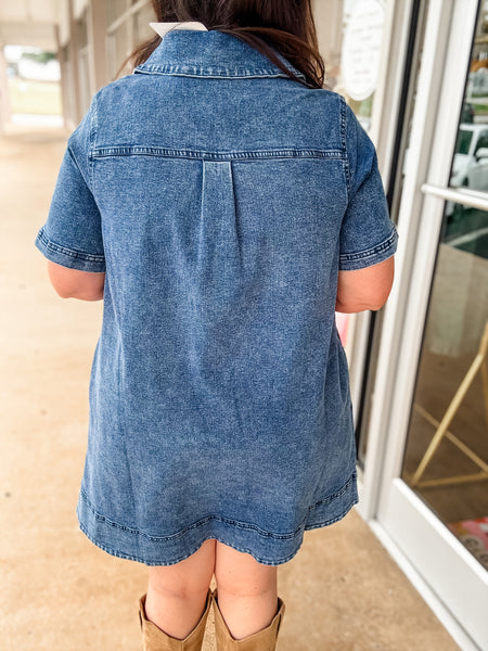 Blue Ridge Denim Dress
