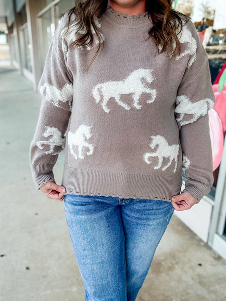 Wild Spirit Sweater