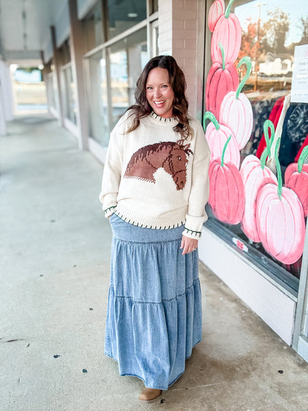 Saddle Up Sweater