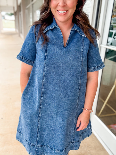 Blue Ridge Denim Dress
