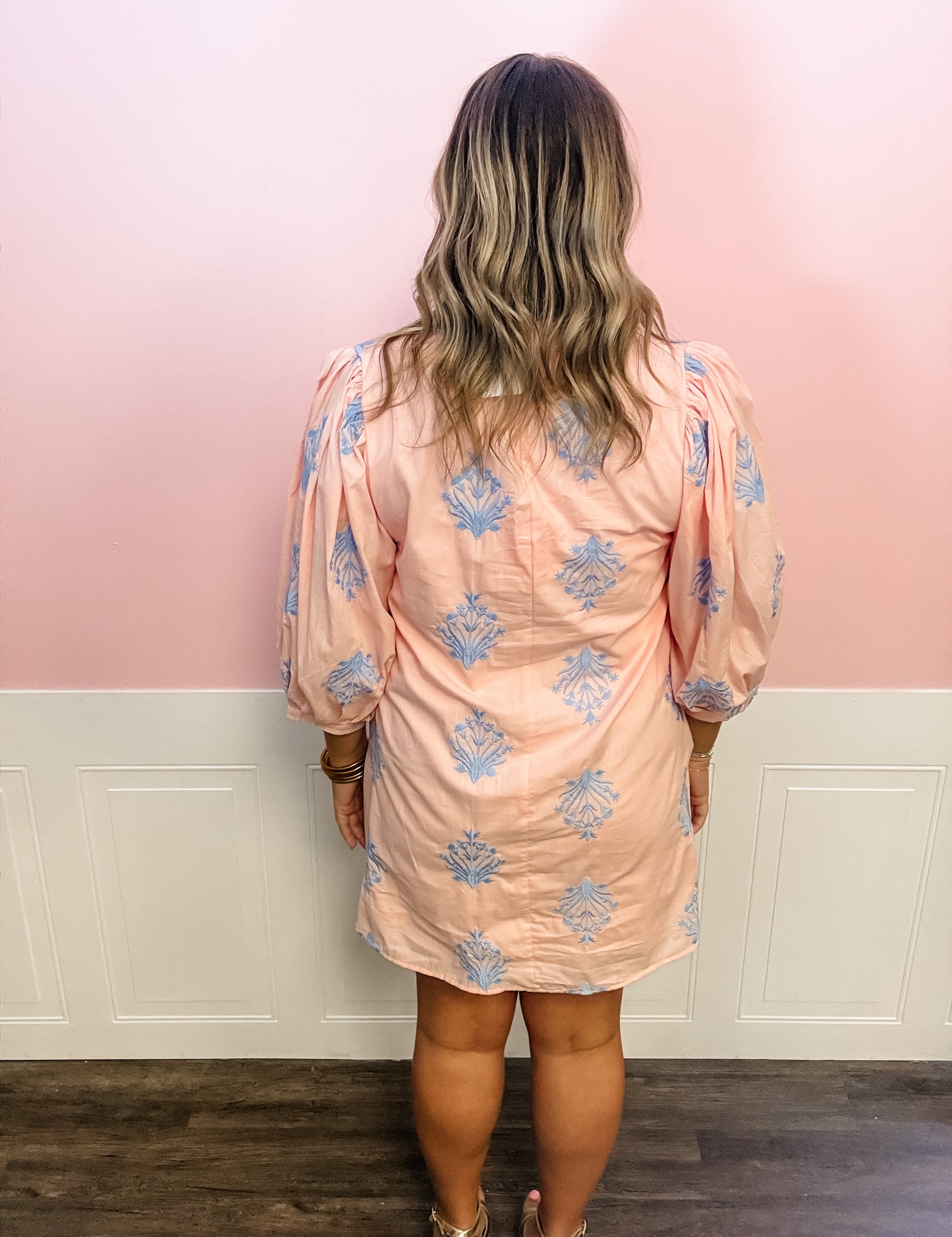 Blush & Blue Charm Dress - Just a Small Town Girl