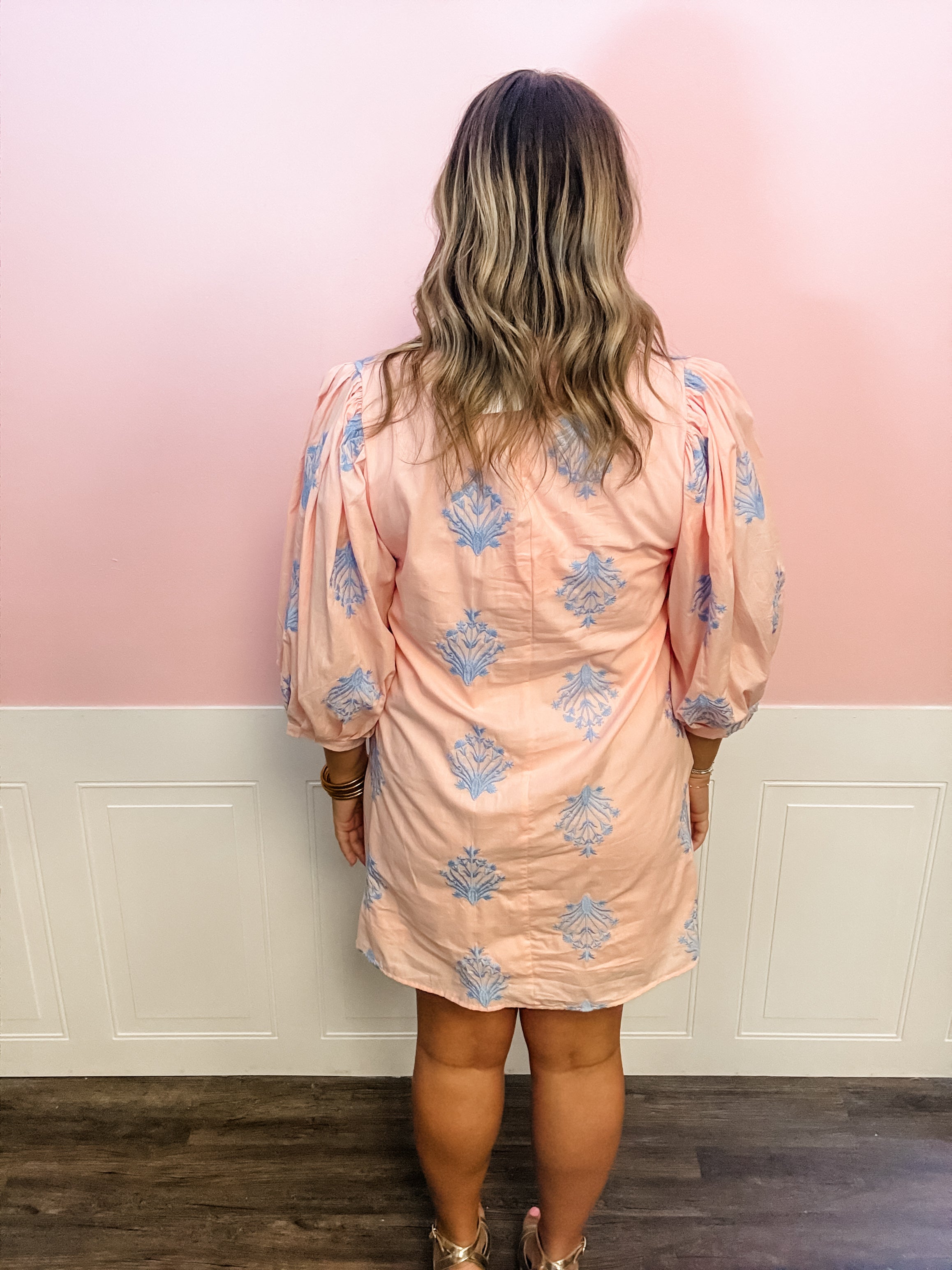 Blush & Blue Charm Dress - Just a Small Town Girl