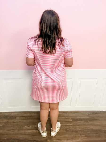 Picnic in Pink Gingham Dress - Just a Small Town Girl